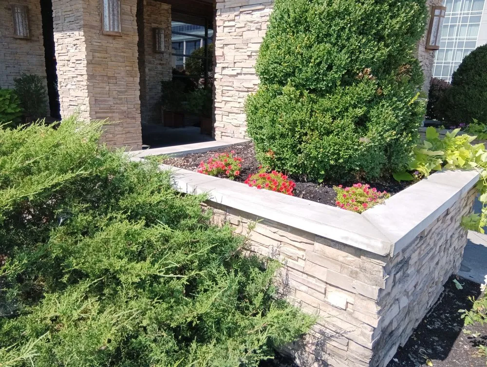 Certified outlet and switch repair in ,  by KJ Construction