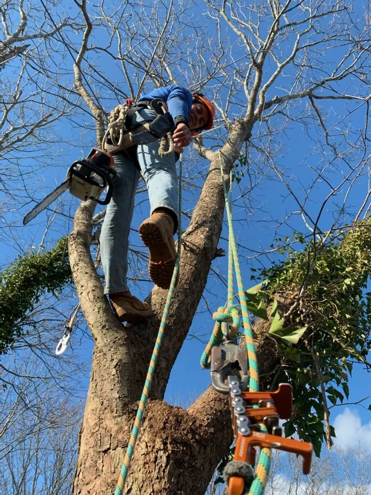 Slide of Klever's Electrical Maintenance