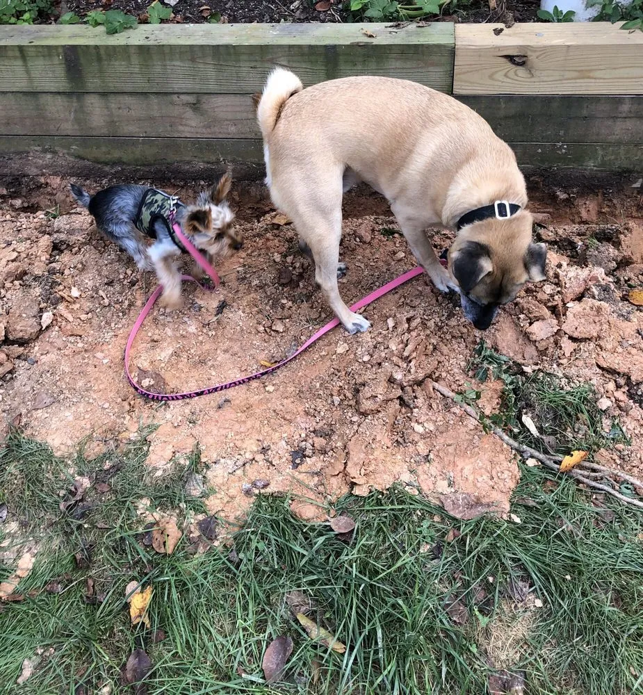 Slide of Kolb Electric