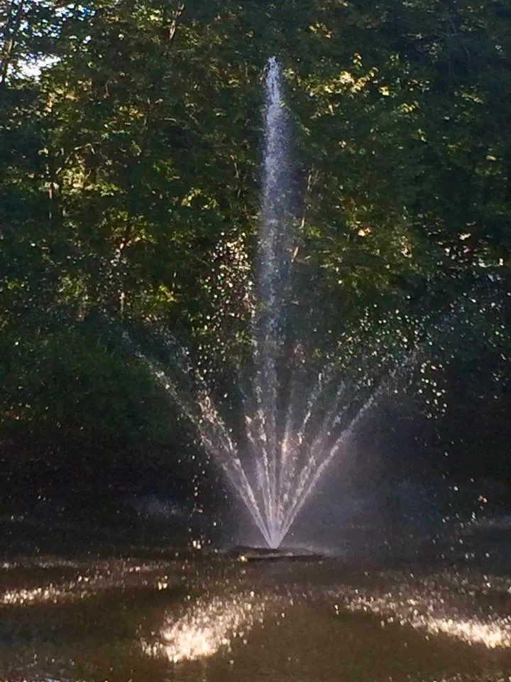 Slide of Kostantino Electric