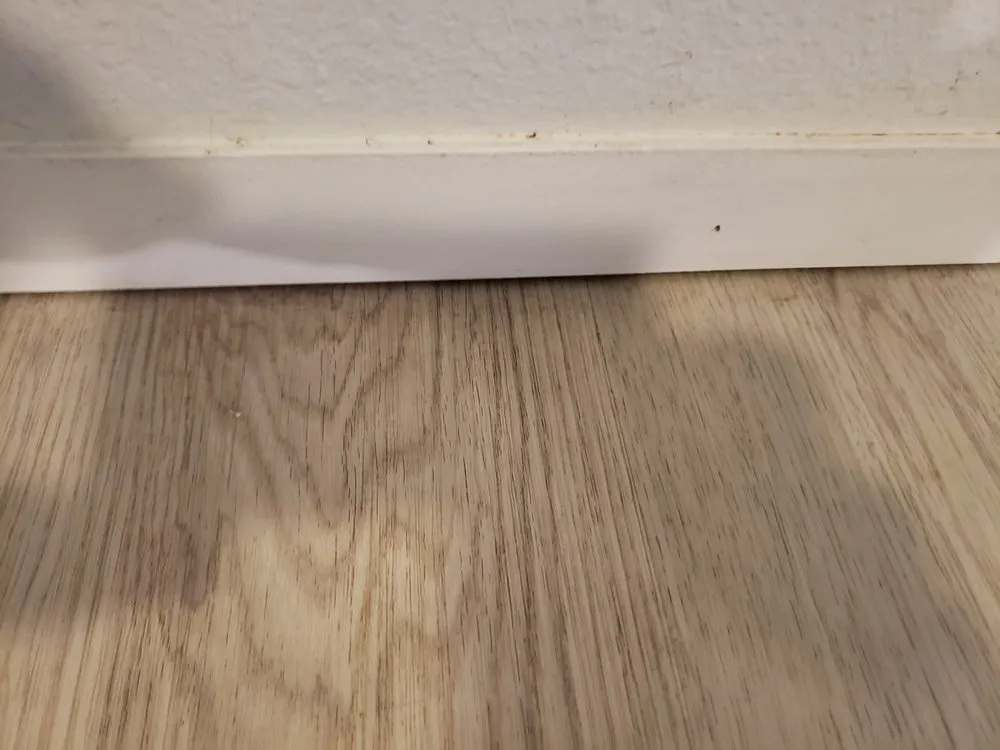 Slide of KP Design & Construction