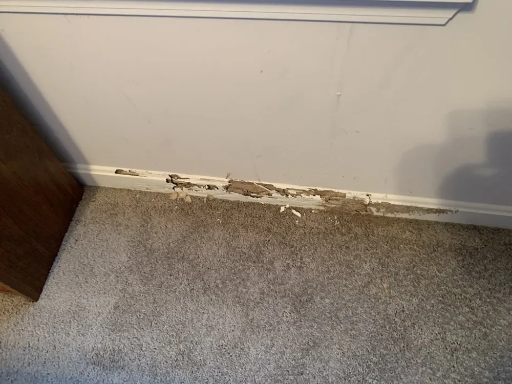 Slide of KPS Handyman Company