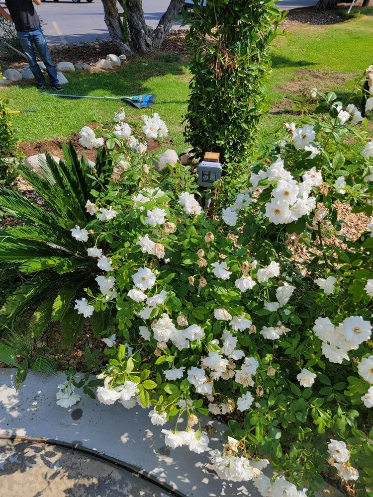 Slide of KRW Services