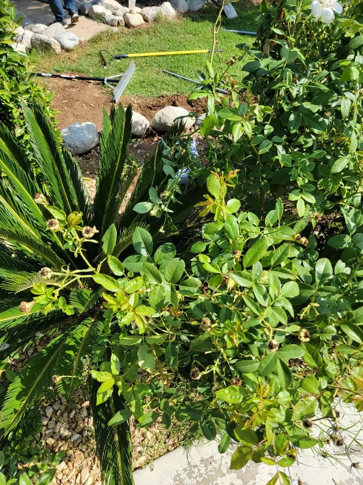 Slide of KRW Services