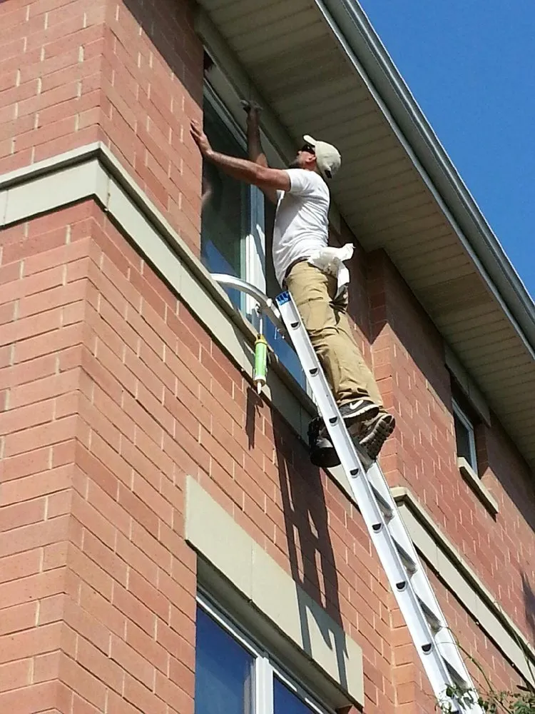 Slide of Krysti Design Painting