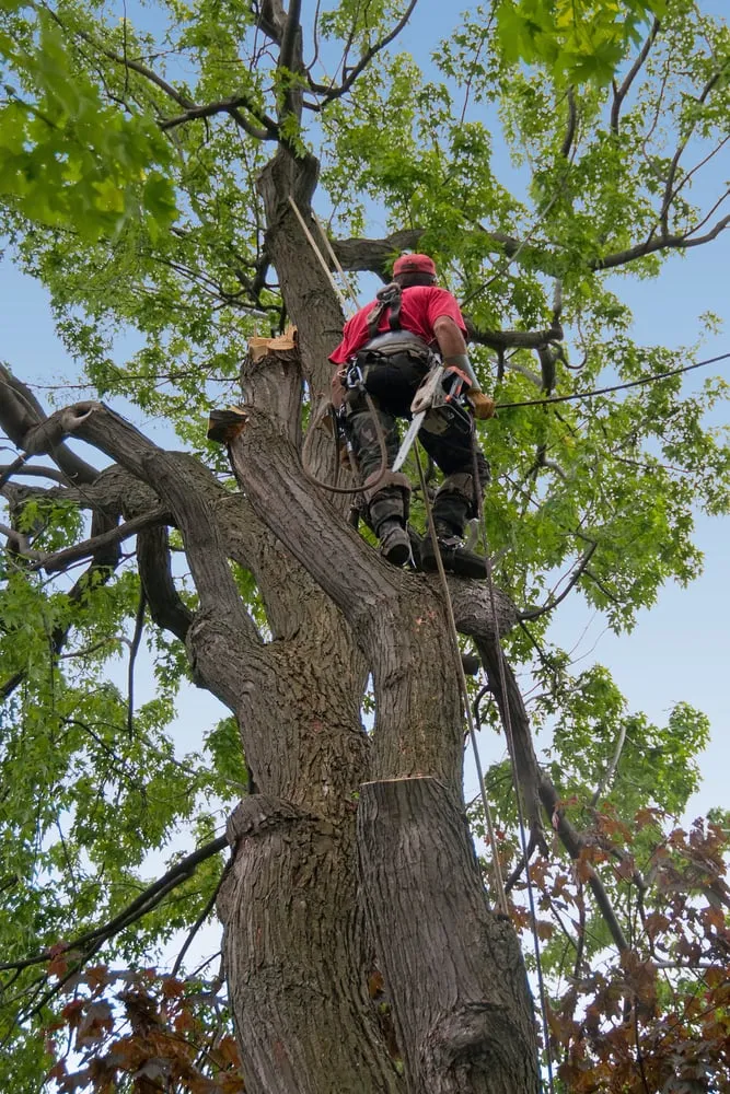 Affordable electrician providing electrical repair in Fillmore, IL - Kurt Probst