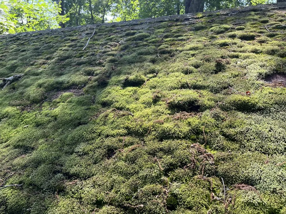 Slide of Kyle Handyman Service