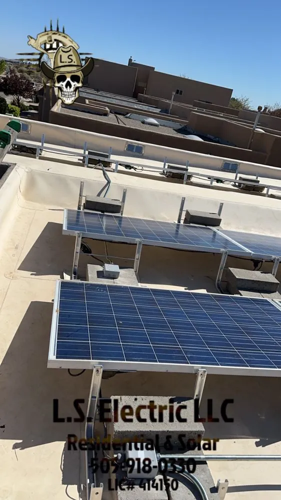 Slide of L S Electric