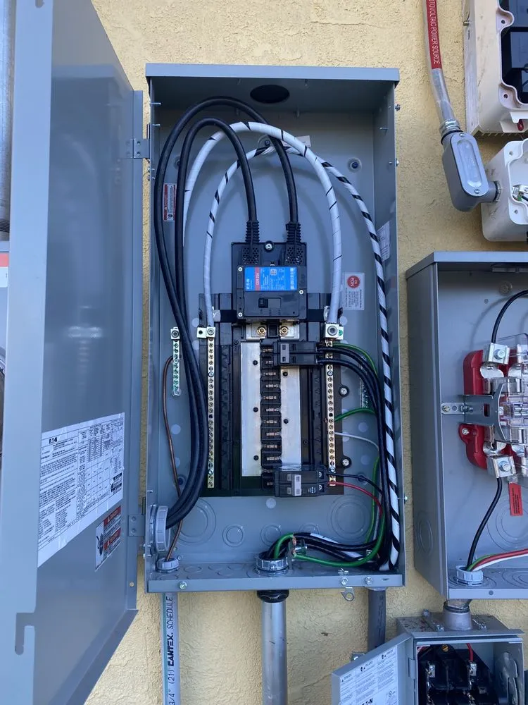 Slide of L S Electric