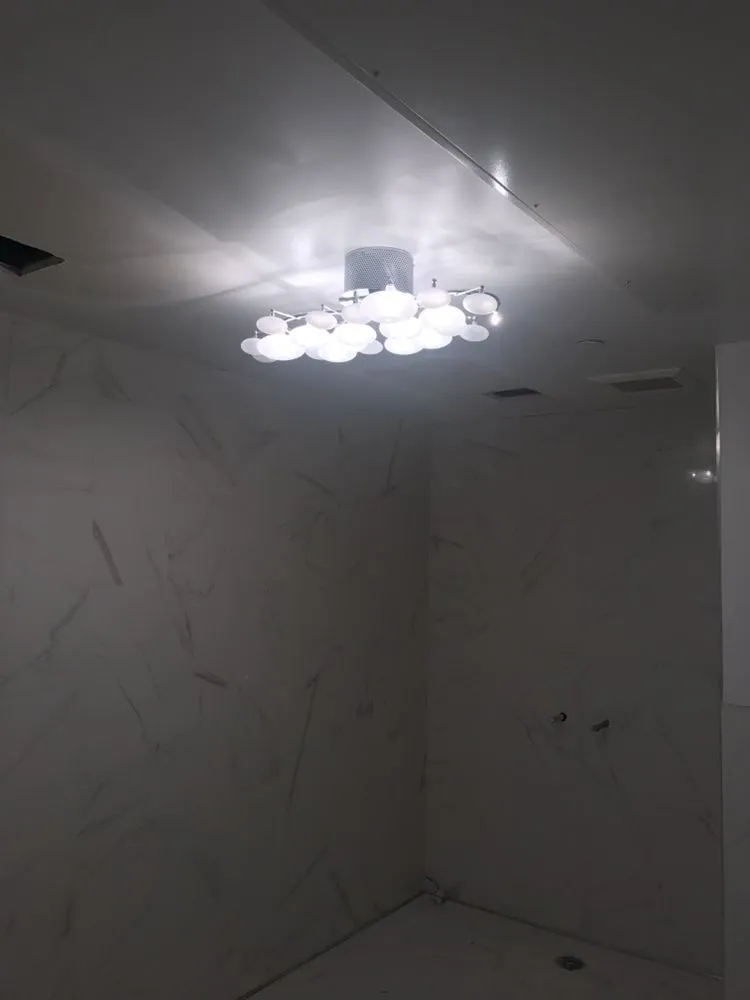 Slide of LAC Electric