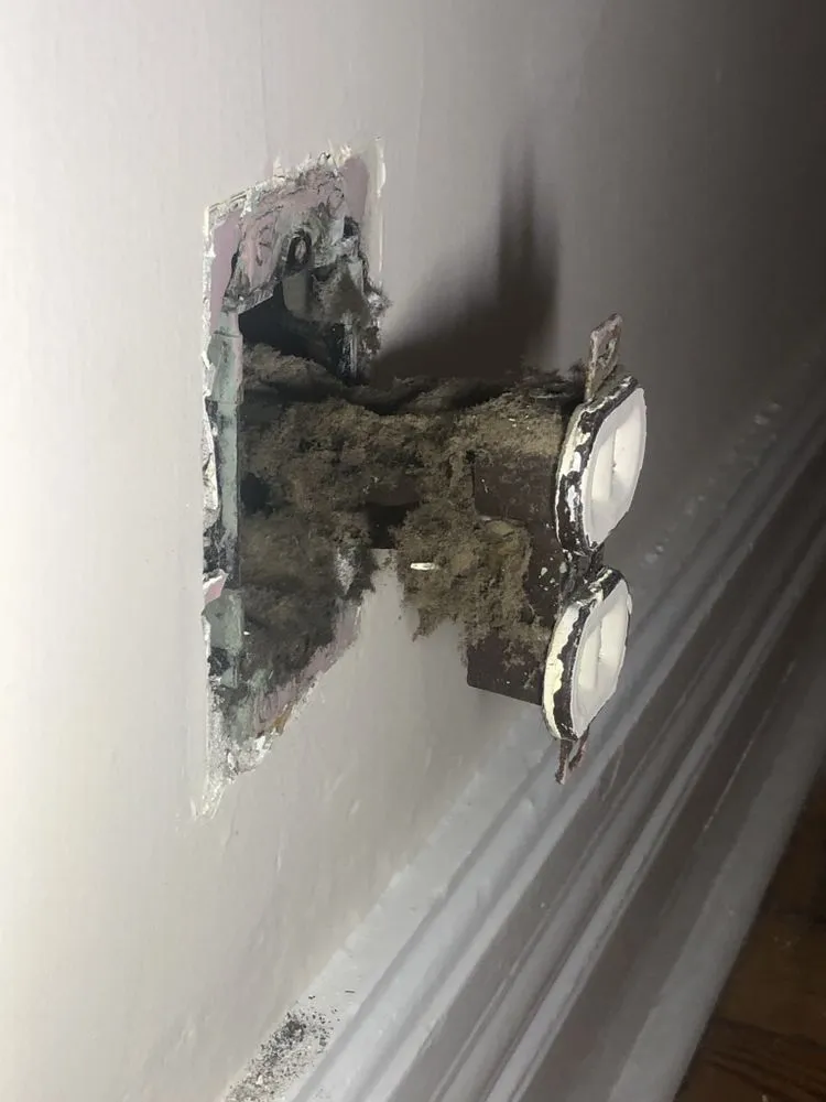 Slide of Lacis Electric