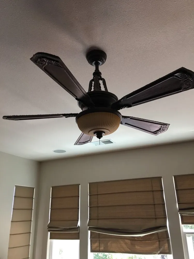 Slide of Lady B Electric