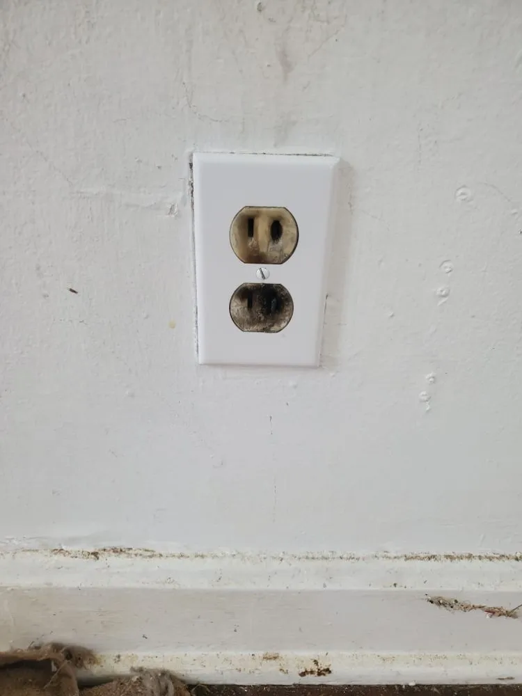 Slide of Lady Lightsmith