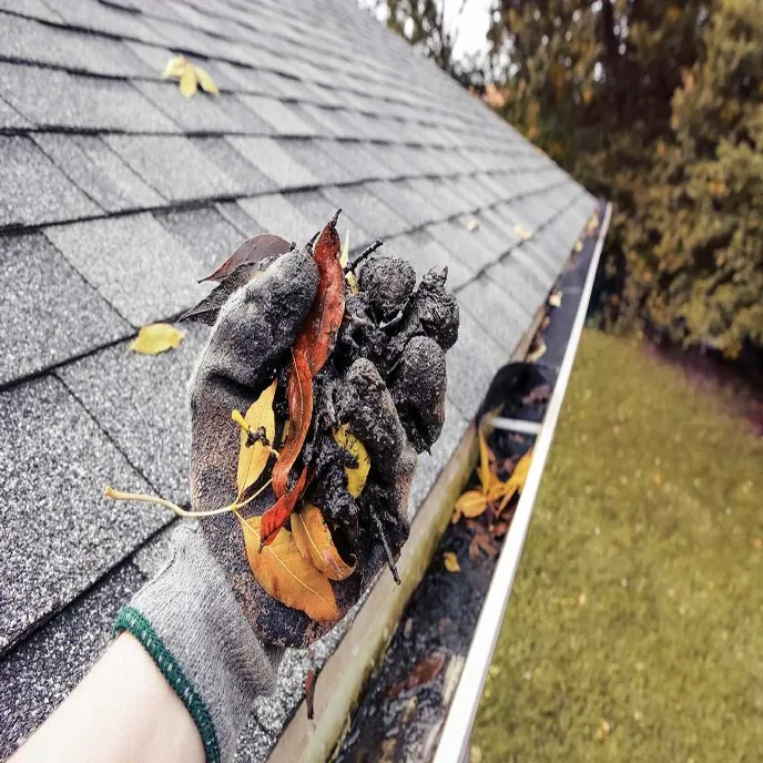 Slide of Lafayette Handyman