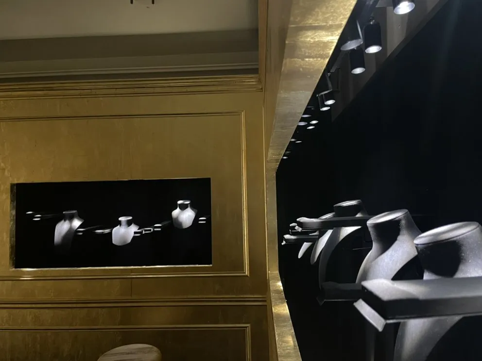 Slide of Laguna Electric