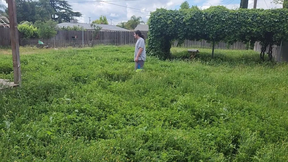 Slide of Laguna Services