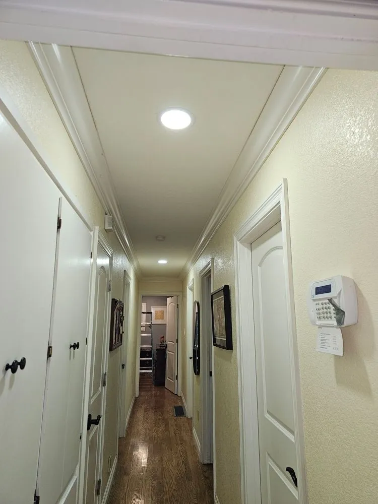 Slide of Lainez Electric