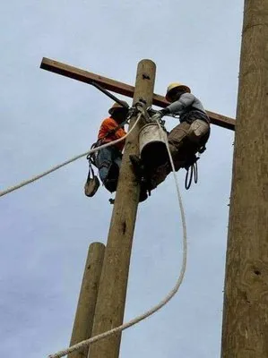 Lake View Garden Electrician Logo