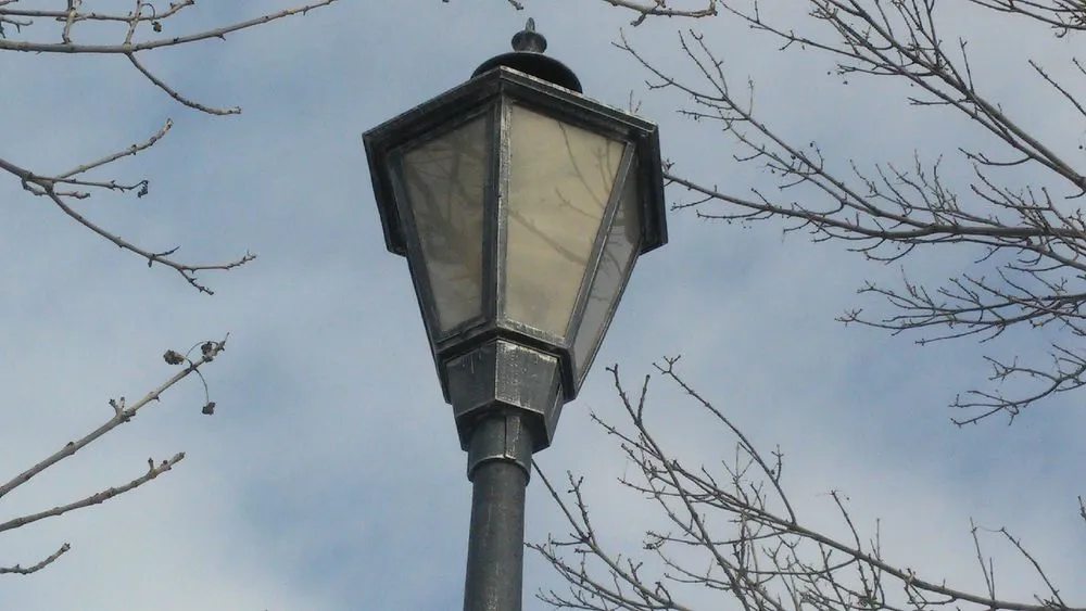 Professional panel upgrade service in ,  - Lakeview Electric