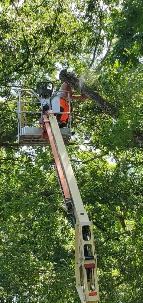 Slide of Lambert Home Services