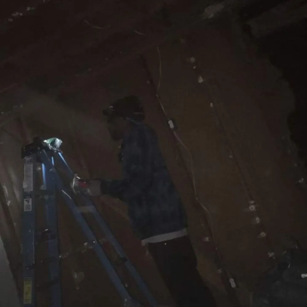 Slide of Lampyridae Electrical Services