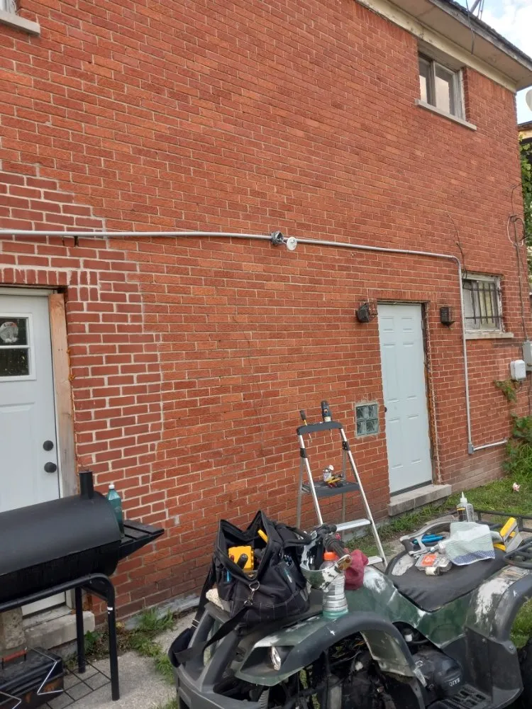 Slide of Lampyridae Electrical Services