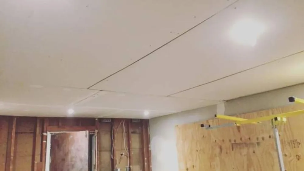 Slide of Lampyridae Electrical Services