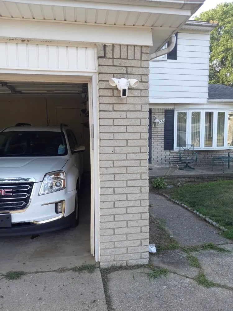 Slide of Lampyridae Electrical Services