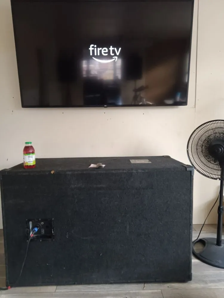 Slide of Lampyridae Electrical Services