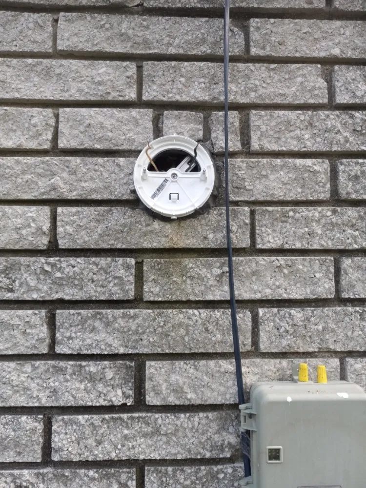 Slide of Lampyridae Electrical Services