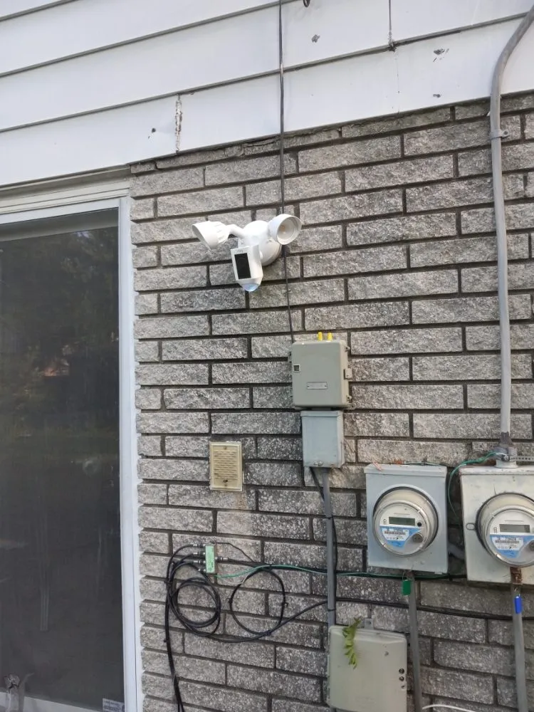 Slide of Lampyridae Electrical Services