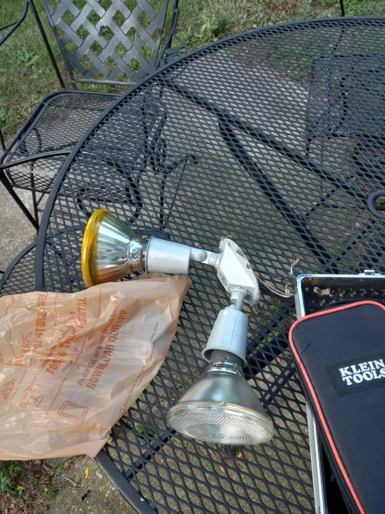 Slide of Lampyridae Electrical Services