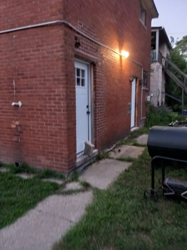 Slide of Lampyridae Electrical Services