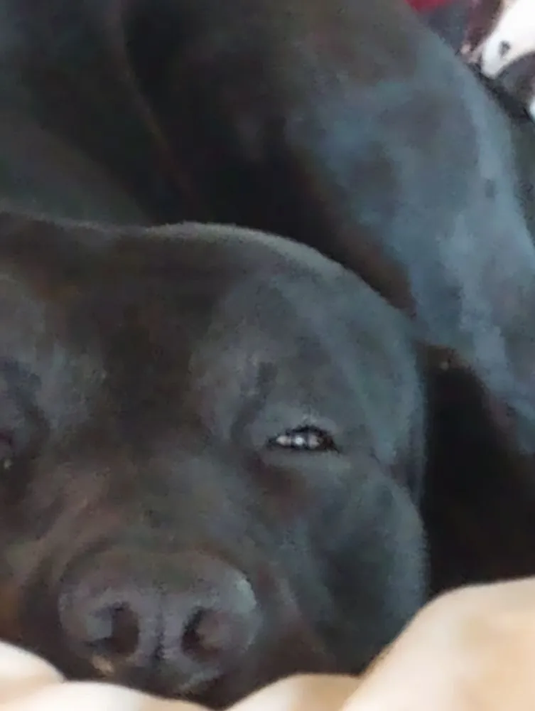 Slide of Landry Electric