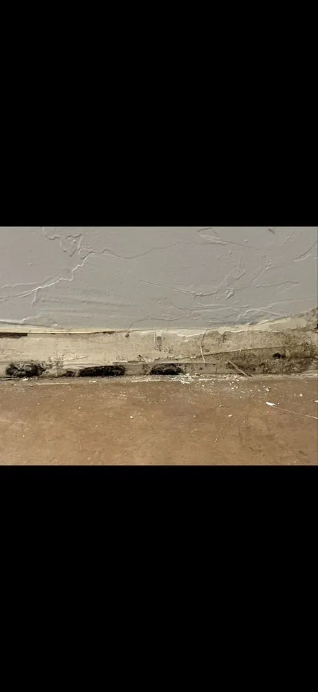 Affordable electrician providing panel upgrade in Hereford, AZ - Lane's Home Improvement