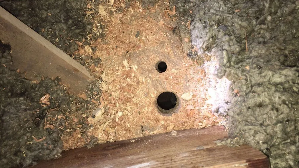 Slide of Laredo Solar & Electric