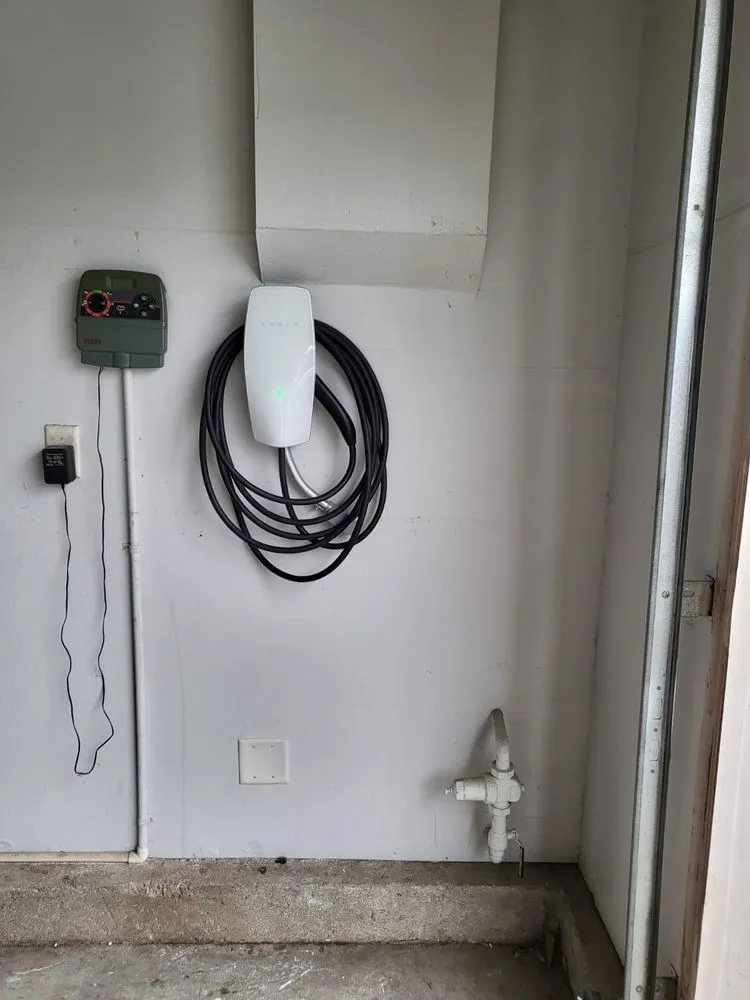 Slide of Larios Electric