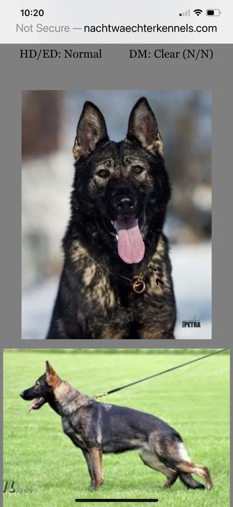 Slide of Lavergne Electric