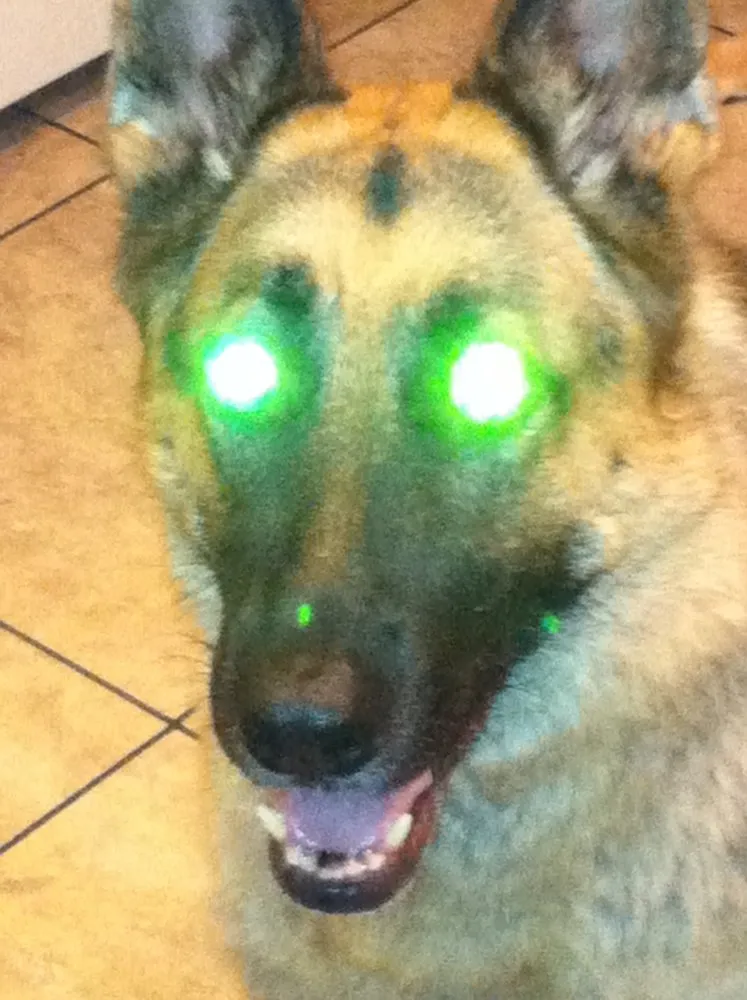 Slide of Lavergne Electric