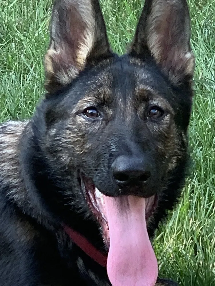 Slide of Lavergne Electric