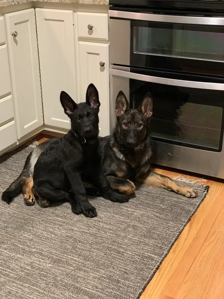 Slide of Lavergne Electric