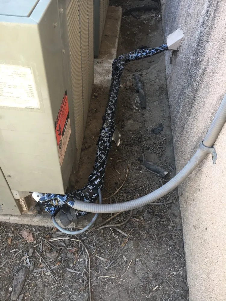 Slide of LaVerne & Son