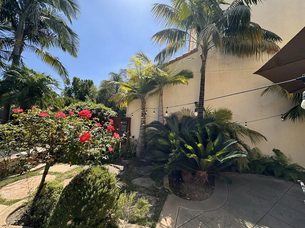 Slide of Lawlipop Electric