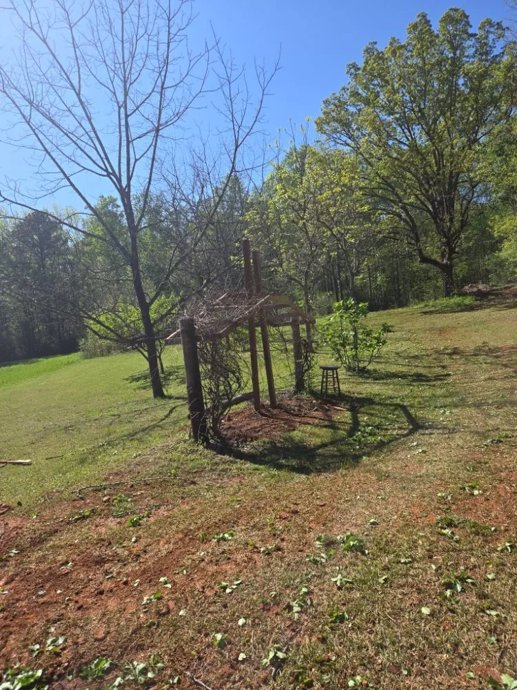 Slide of LAWN SCAPES