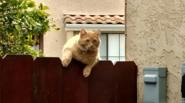 Lawrence Electrical Contracting Logo