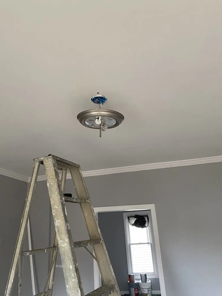 Slide of LBJ The Electrician