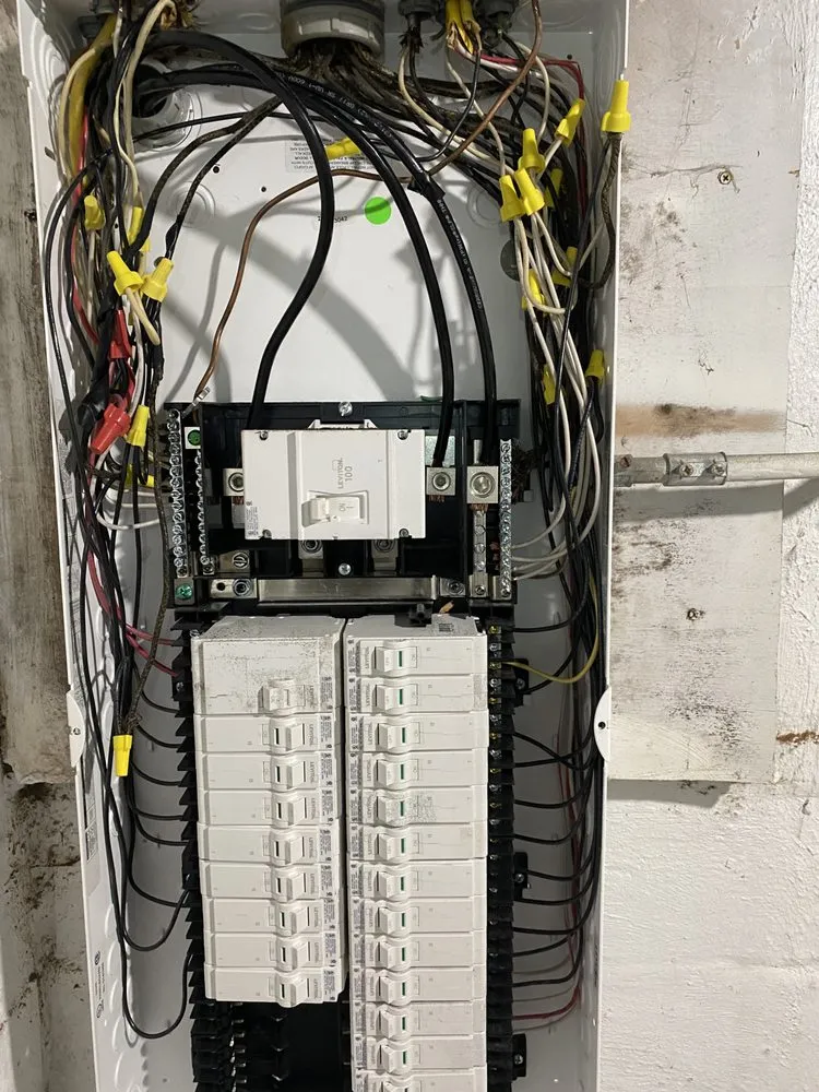 Slide of LBJ The Electrician