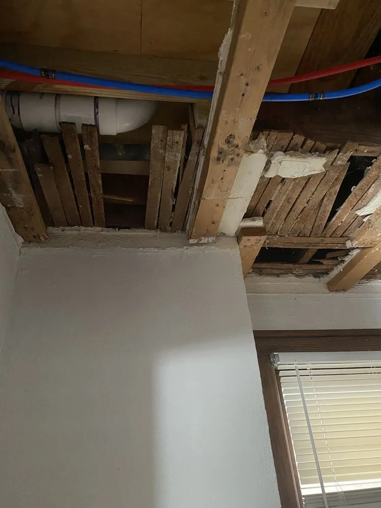 Slide of LC Levy Empire Restoration