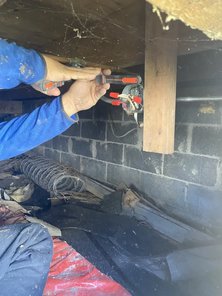 Slide of LC Levy Empire Restoration