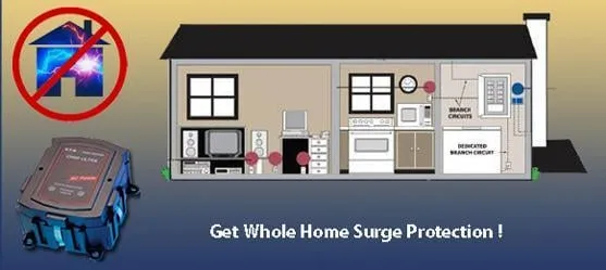 LD Branch Electric Logo